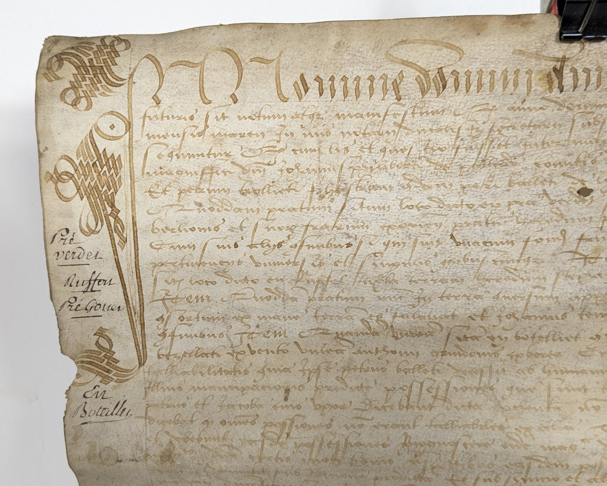 1506 - Acte de vente - Loyes - ancien Duché de Savoie - parchemin-photo-2