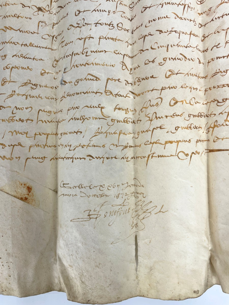 Marriage 1572 - Duchy Of Savoy. Lord Of  Chandee -photo-3