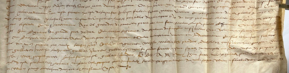 Marriage 1572 - Duchy Of Savoy. Lord Of  Chandee -photo-3