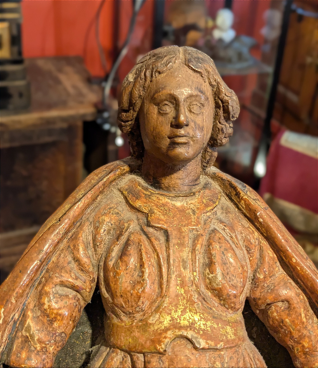 Virgin Of Mercy - Virgin With A Cloak - 17th Century -photo-5
