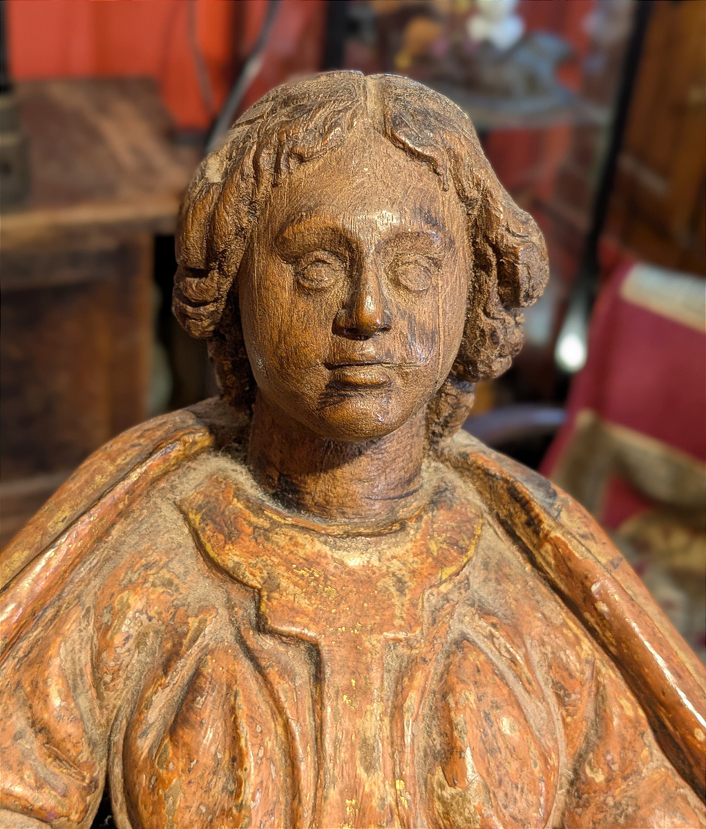 Virgin Of Mercy - Virgin With A Cloak - 17th Century -photo-6
