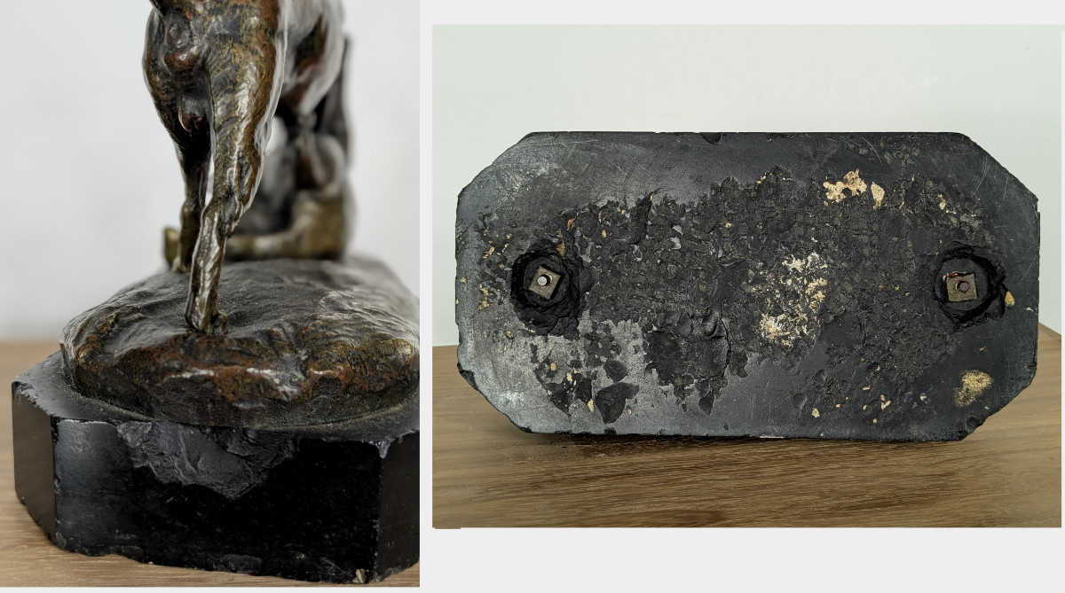 Cat And Dog - Bronze Circa 1860-80-photo-7