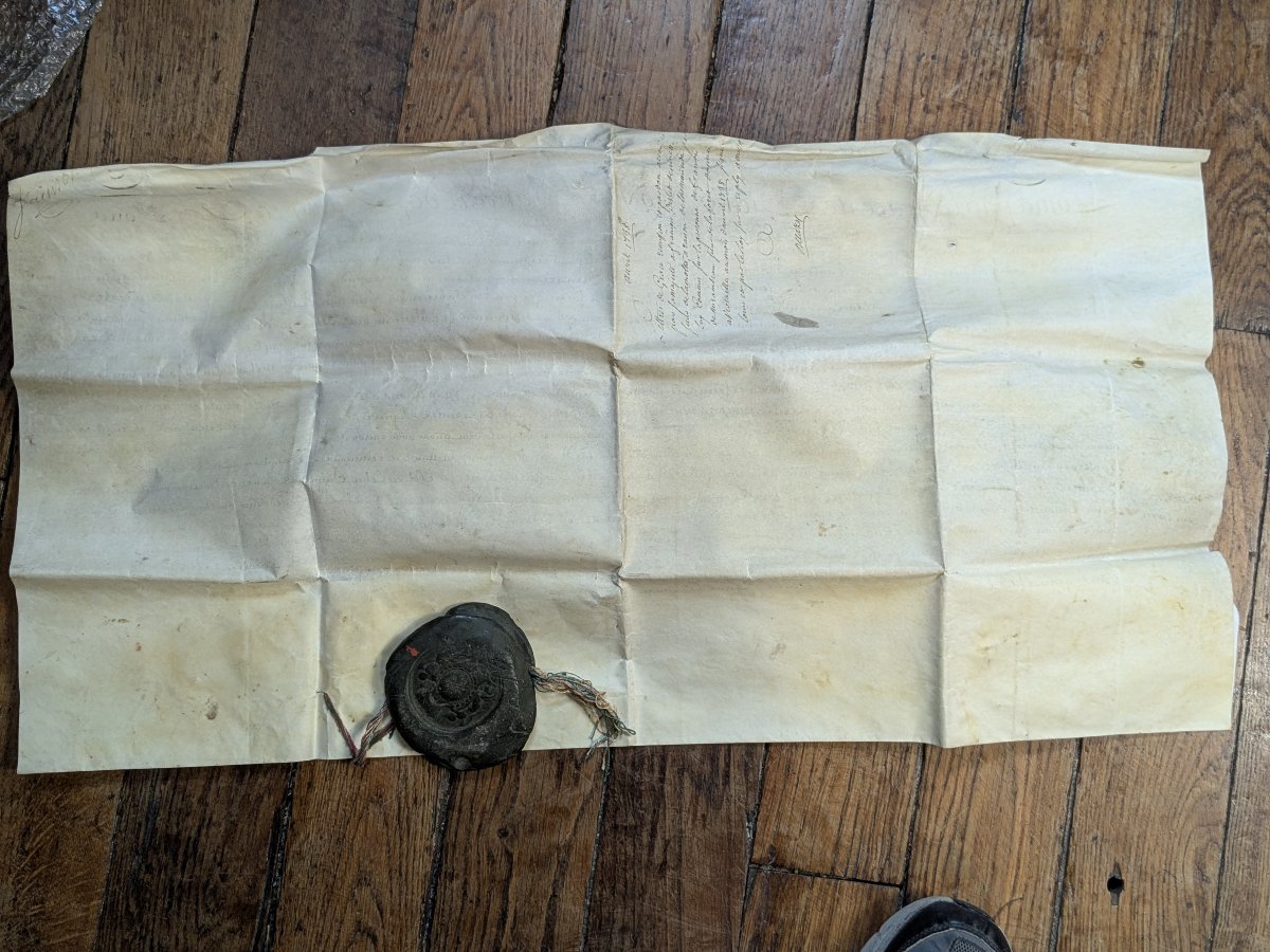 Lettre de grâce, accordée par Louis XV  - parchemin signé Louis -  1738-photo-5