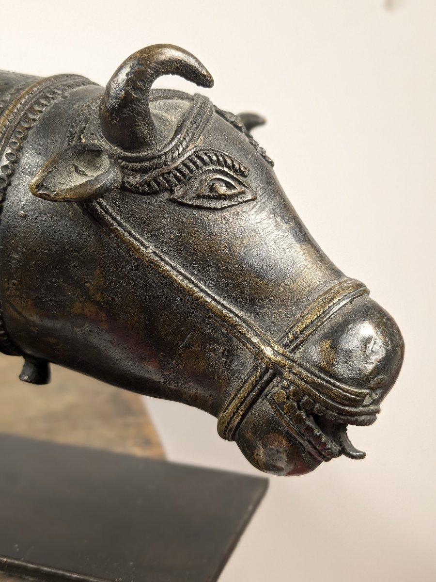 Protomé  de Nandi - bronze, Inde, XIXe siècle-photo-4