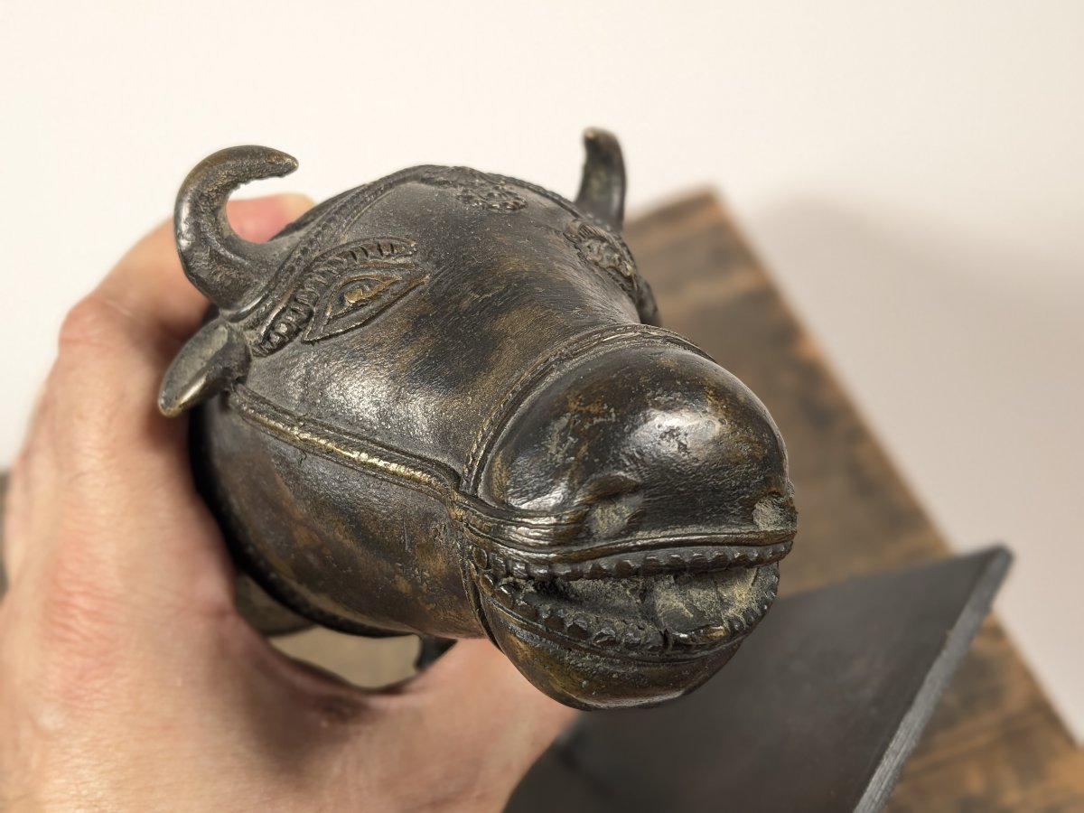 Protomé  de Nandi - bronze, Inde, XIXe siècle-photo-6