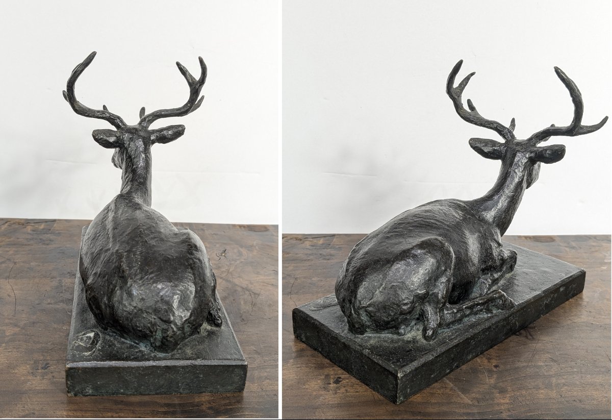 Reclining Stag, Bronze — Mario Busato, Circa 1950–60-photo-3