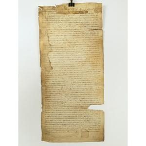 Charte sur parchemin XIVeme siécle - gothique  année 1320  /n°2