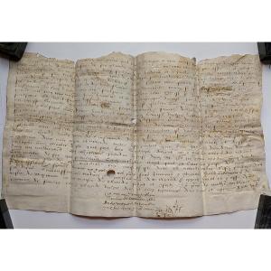 Parchment 1540 - Ain - Land Transfer #ma6