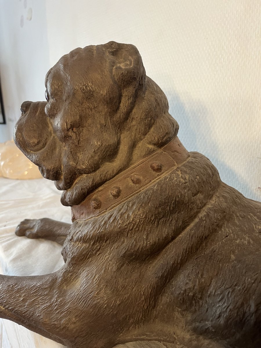 CHIEN ALLONGE-photo-3