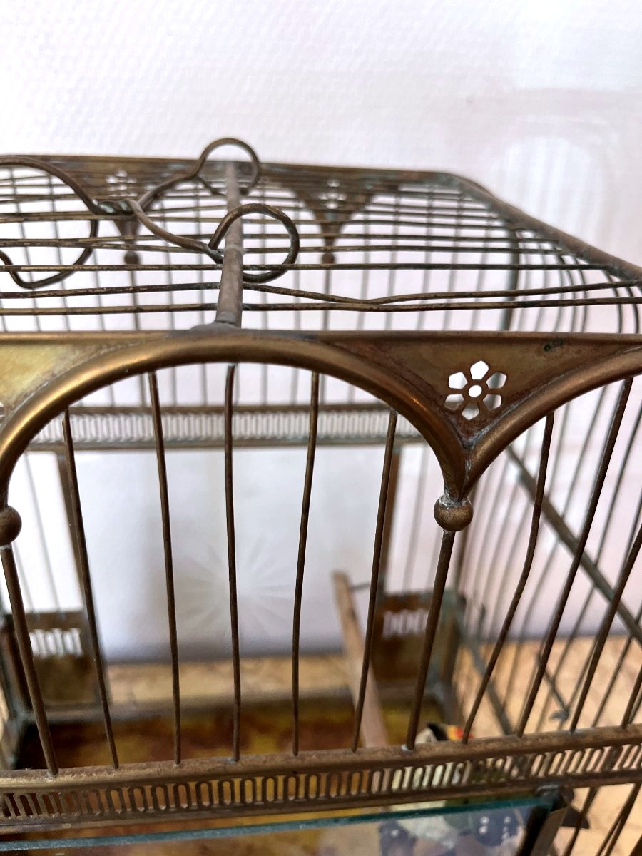Open The Bird Cage-photo-4