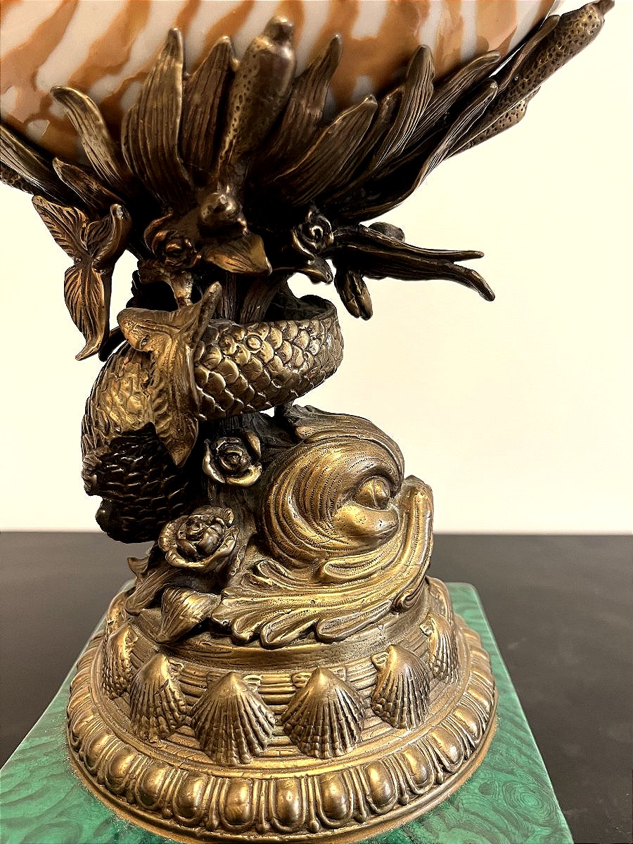 Large Ceramic Nautilus-photo-1