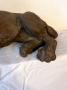 1824904-alb-6abbe674b8db3.jpg