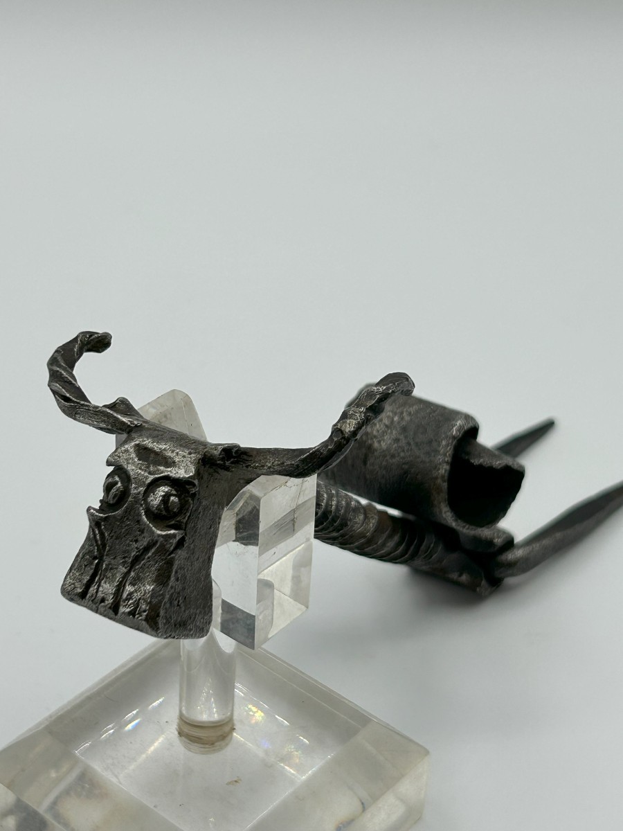 Iron Knocker Door
