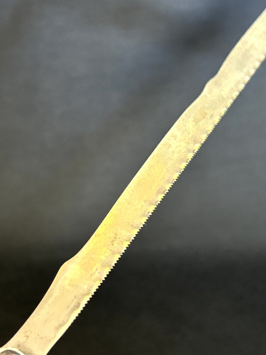 Scie d'amputation en fer forgé-photo-2