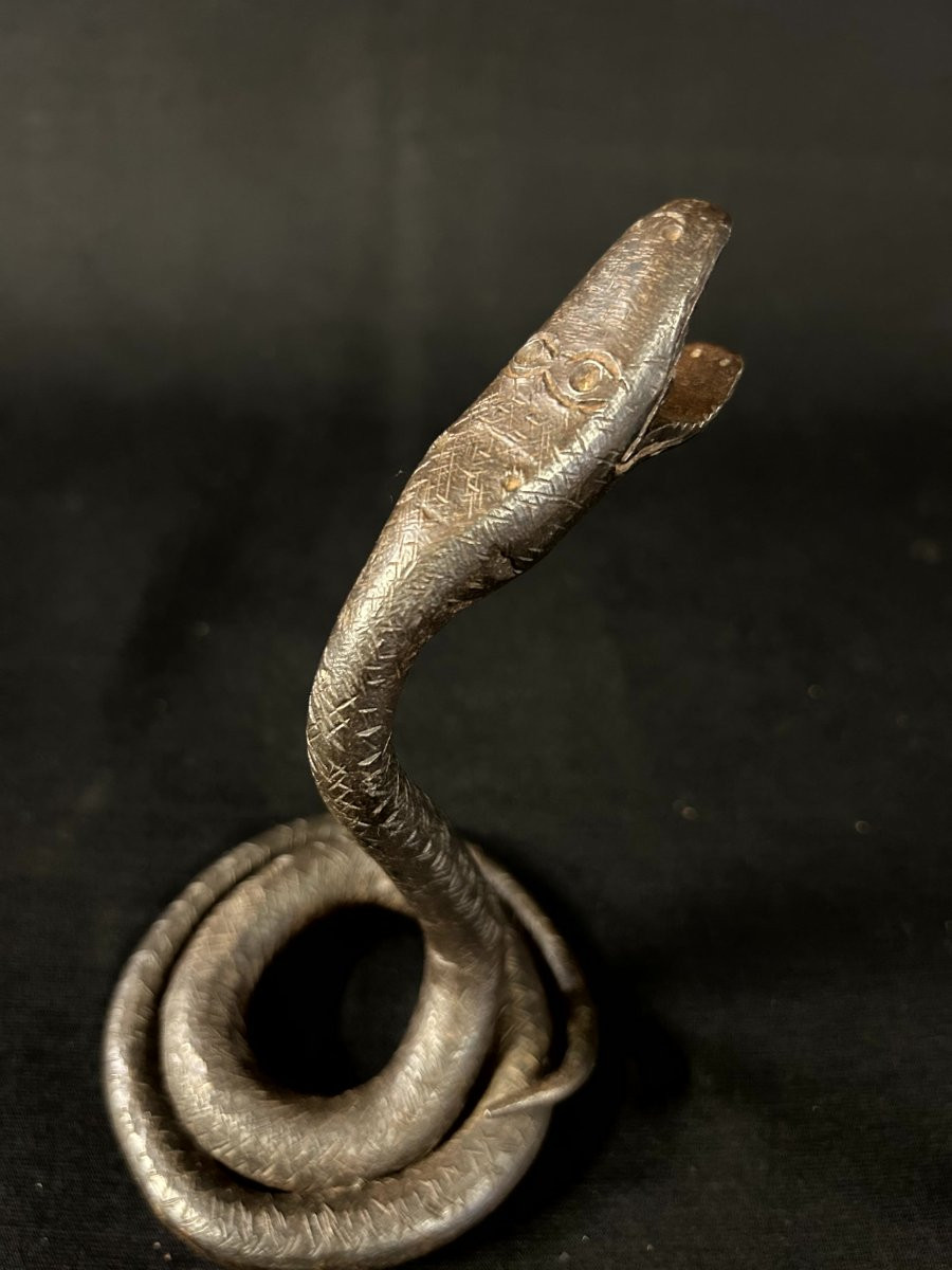 Wrought-iron Snake-photo-3