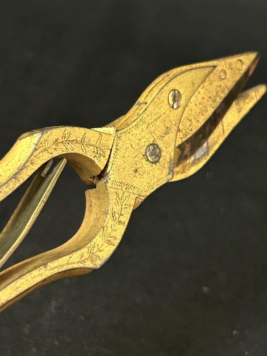 Forged Iron Scissors-photo-3