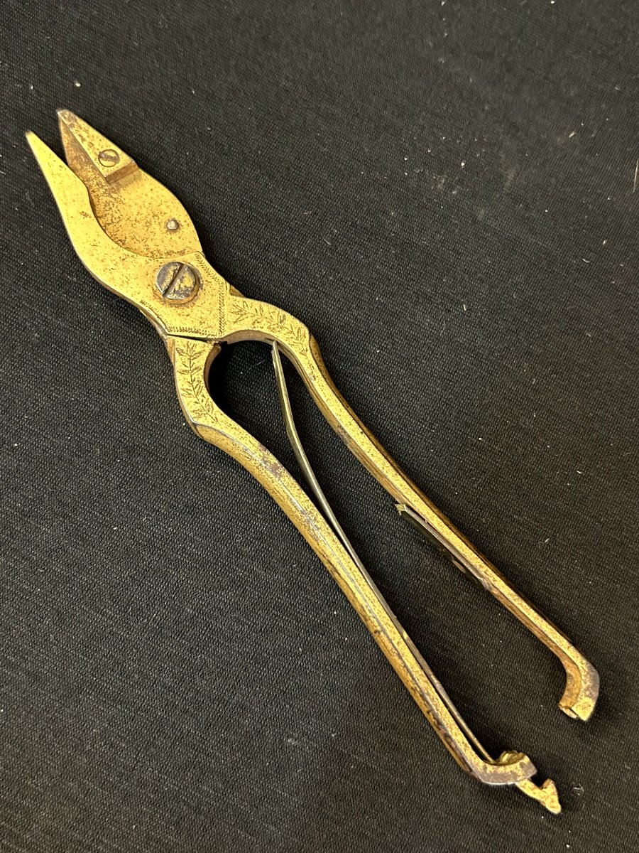 Forged Iron Scissors