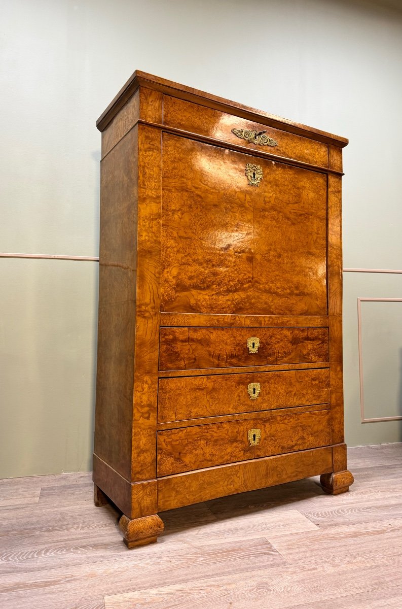 Secretary In Magnifying Glass Veneer From Charles X XIX Eme Century -photo-2