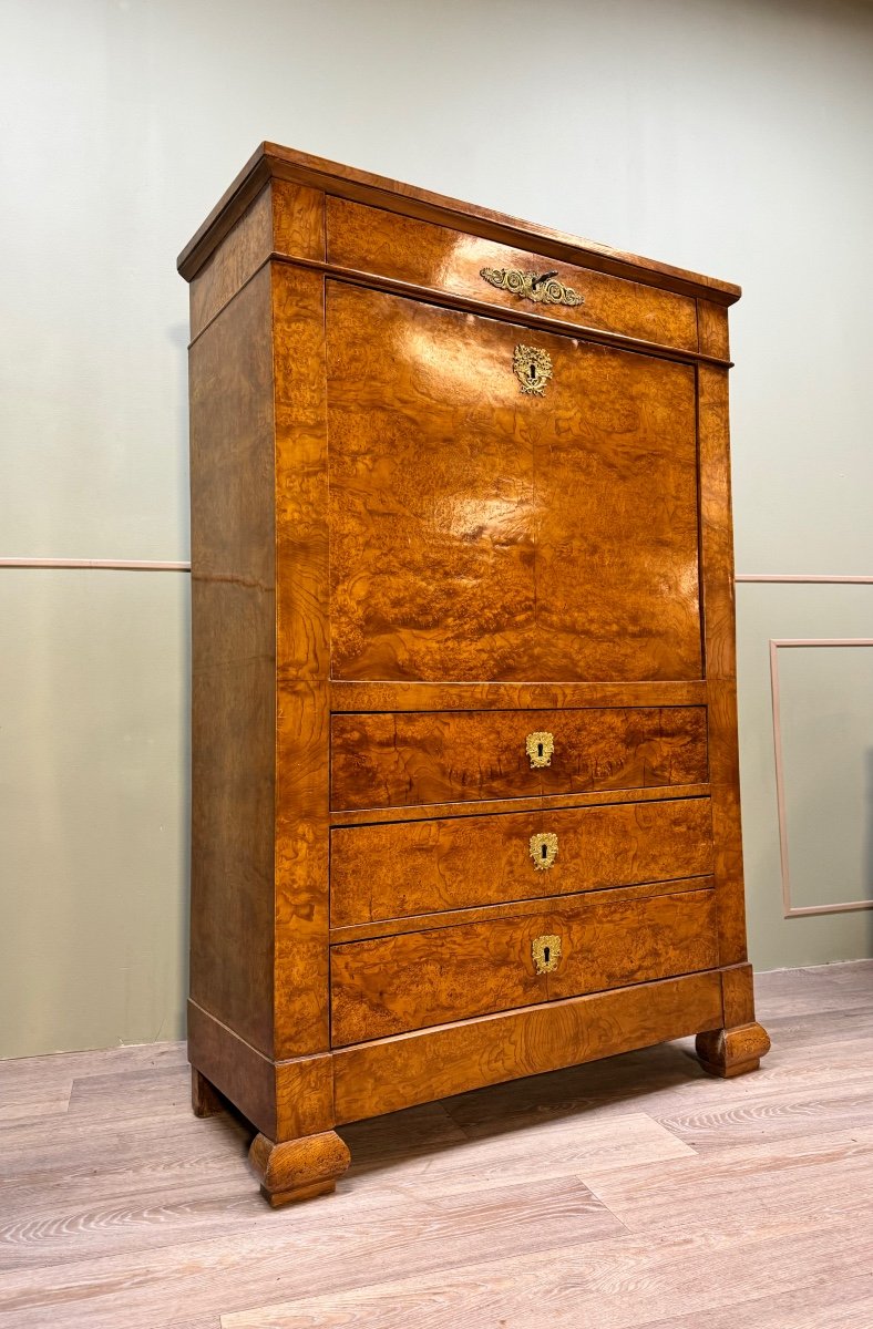 Secretary In Magnifying Glass Veneer From Charles X XIX Eme Century -photo-1