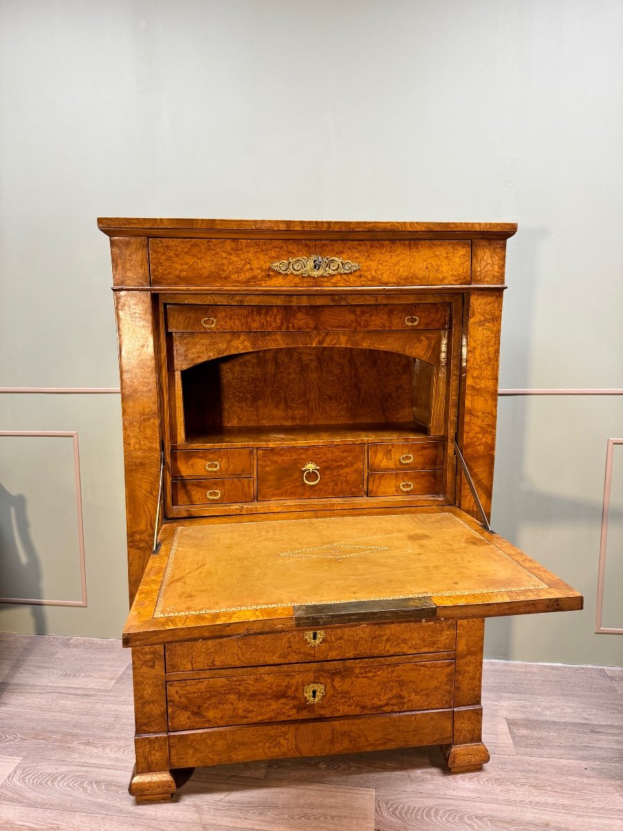 Secretary In Magnifying Glass Veneer From Charles X XIX Eme Century -photo-2