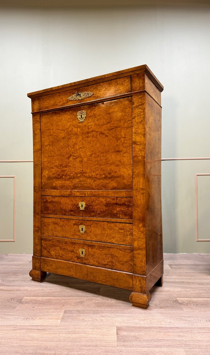 Secretary In Magnifying Glass Veneer From Charles X XIX Eme Century -photo-4