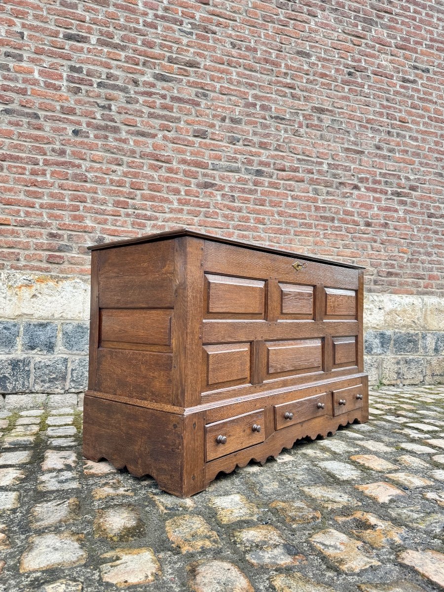 Coffre En Chêne De Style Louis XIV XIX Eme Siècle -photo-2
