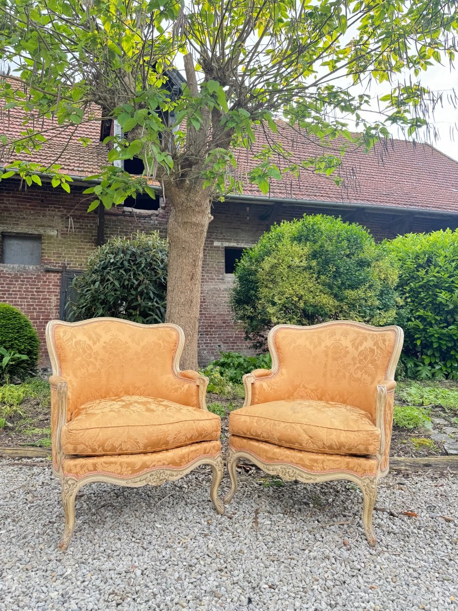 Paire De Large Bergères En Bois Peint De Style Louis XV XIX Eme Siècle -photo-3