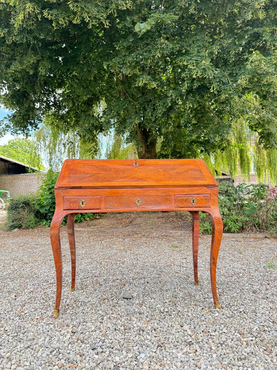  Louis XV Period Marquetry Sloping Desk, Stamped Criaed-photo-8