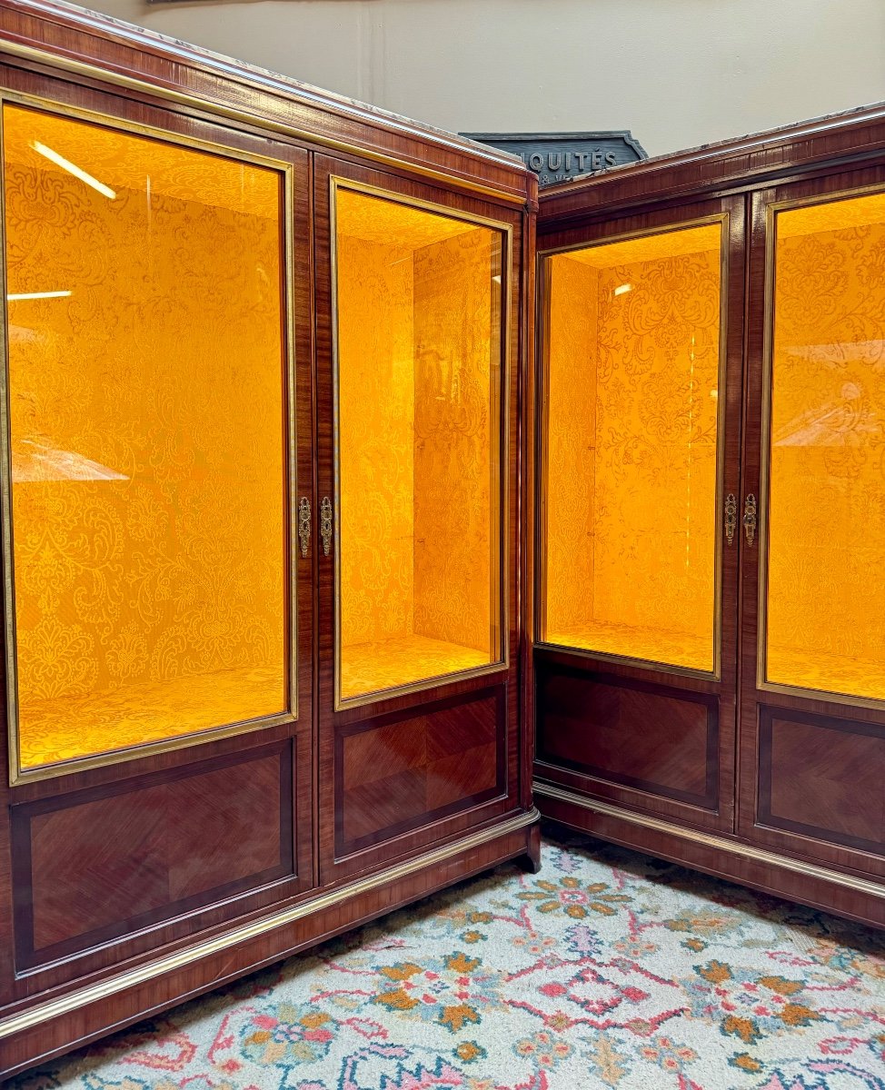 Paire De Vitrines En Marqueterie De Style Louis XVI XIX Eme Siècle -photo-7