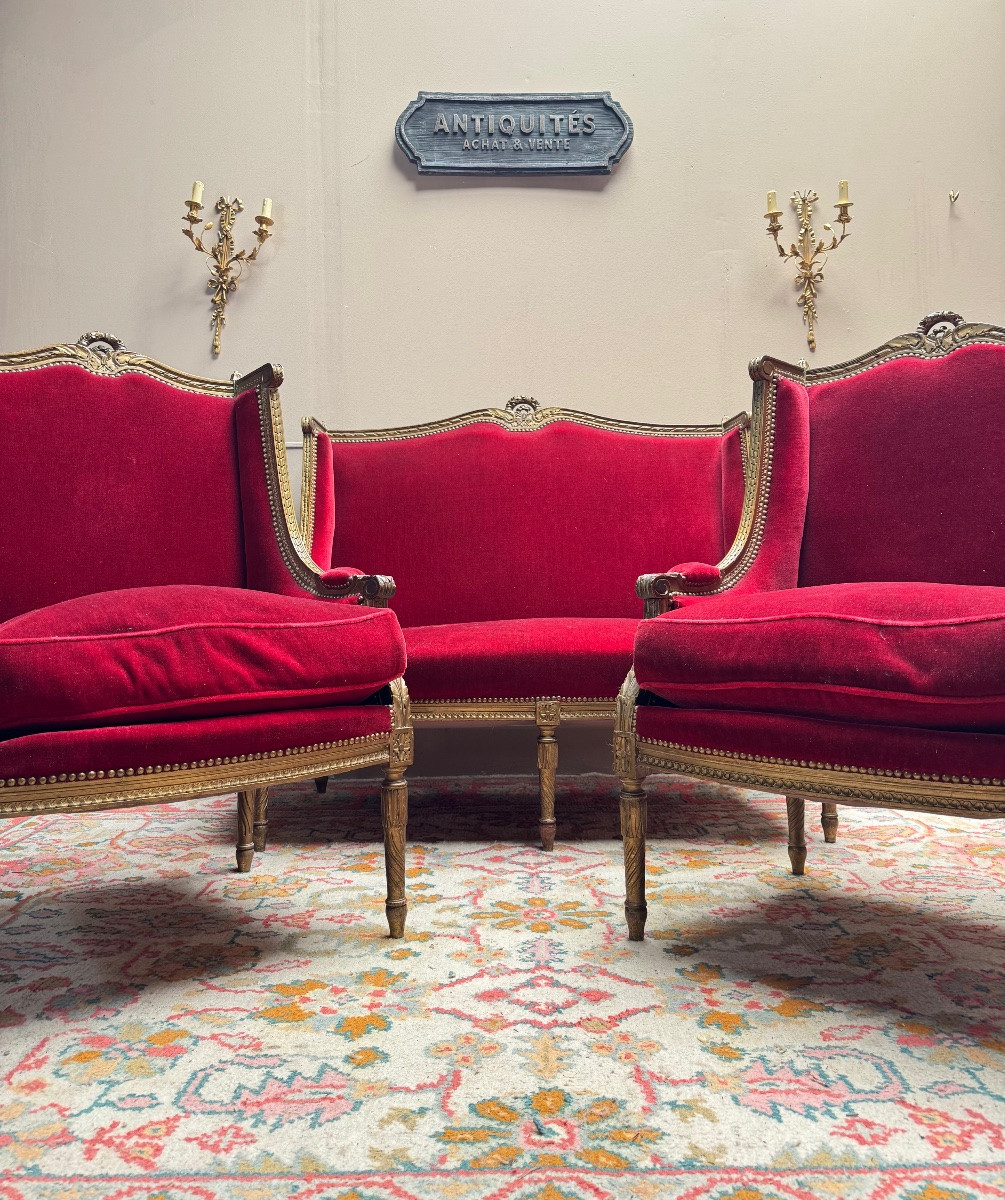 Salon en bois doré de style Louis XVI XIX eme siècle -photo-2