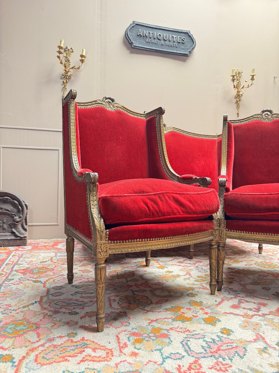 Salon en bois doré de style Louis XVI XIX eme siècle -photo-3