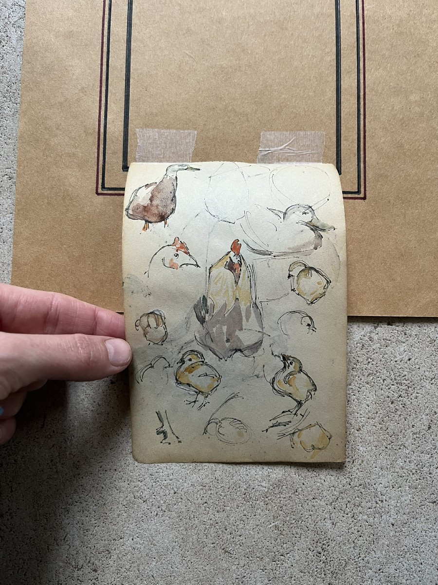 Jane Poupelet - Attributed To - Drawing - Pen And Watercolor Highlights - Study Of A Rooster - Double-sided-photo-1