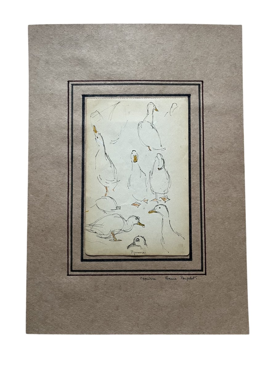 Jane Poupelet - Attribué à - Dessin - Plume et Rehaut d'Aquarelle - Etude de Canard-photo-2