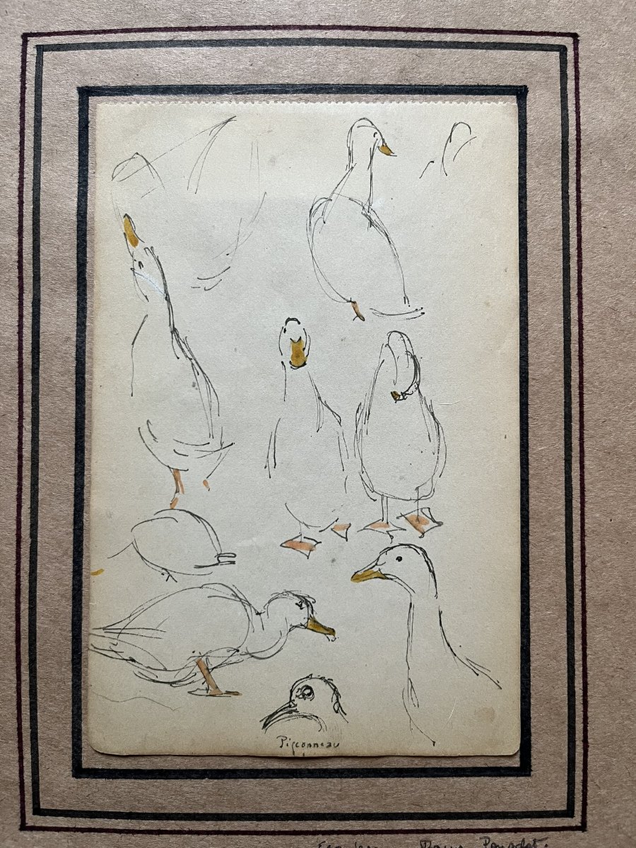 Jane Poupelet - Attribué à - Dessin - Plume et Rehaut d'Aquarelle - Etude de Canard-photo-3