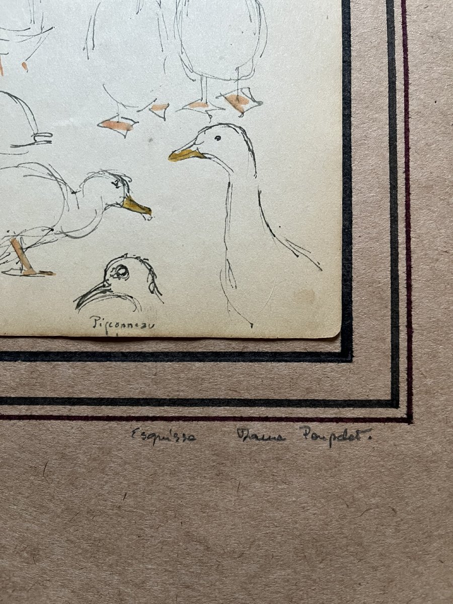 Jane Poupelet - Attribué à - Dessin - Plume et Rehaut d'Aquarelle - Etude de Canard-photo-4