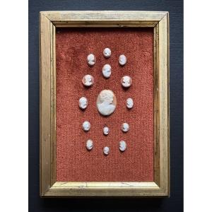 Nineteenth Shell Cameo Collection