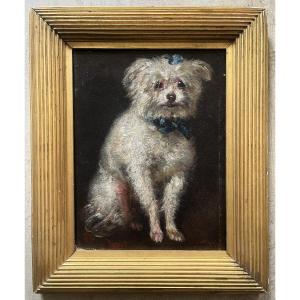Louis Godefroy Jadin - Portrait Of A Dog - "riquet" - Circa 1860 - Oil On Marouflé Paper 
