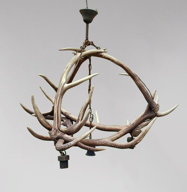 Lustre en bois de cerf électrifié