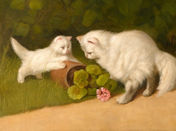 Huile sur toile – Chatte persane et son chaton – École Anglaise, début XXᵉ siècle.-photo-4