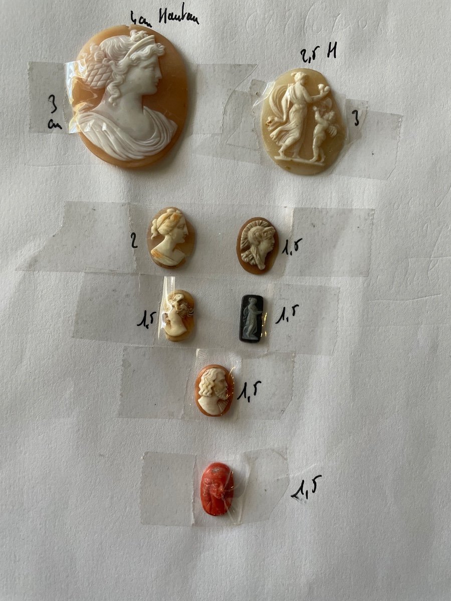 Eight 19th Century Cameos-photo-4