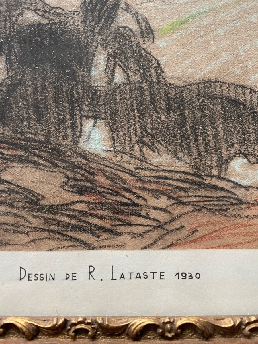 Charcoal Drawing By R.lataste-photo-5