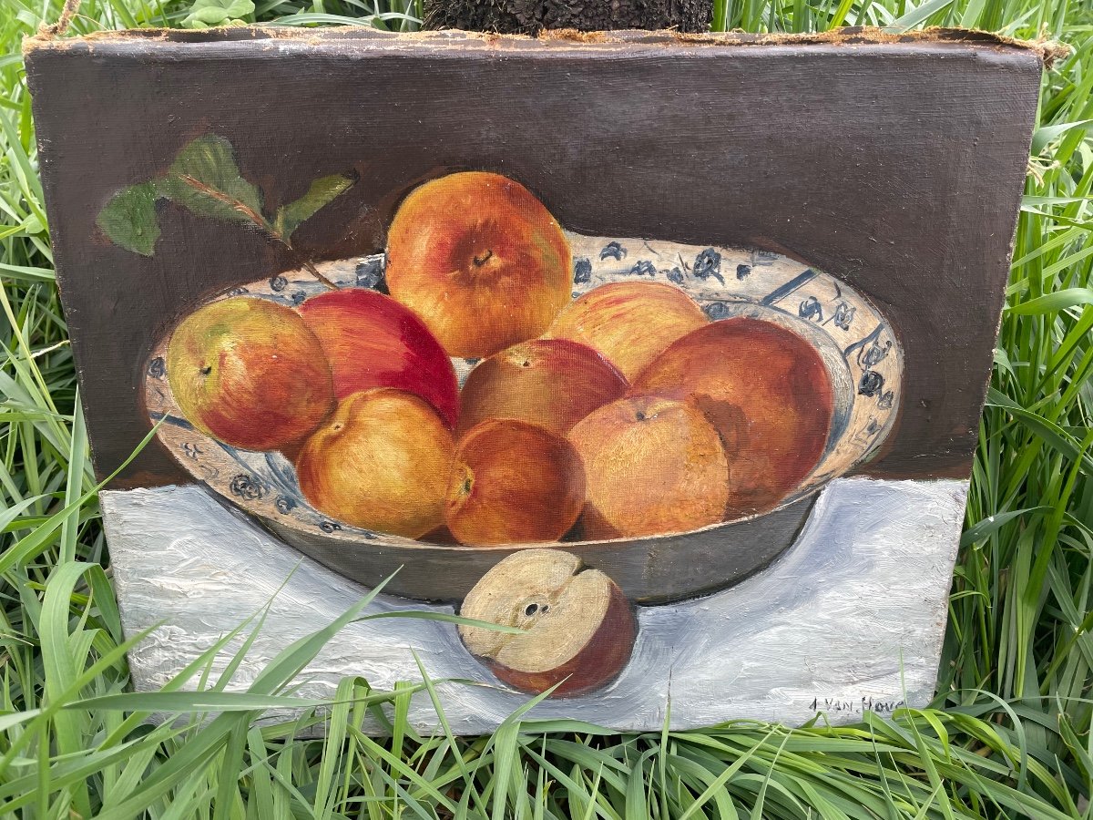 Still Life With Apples By Van Hove-photo-4