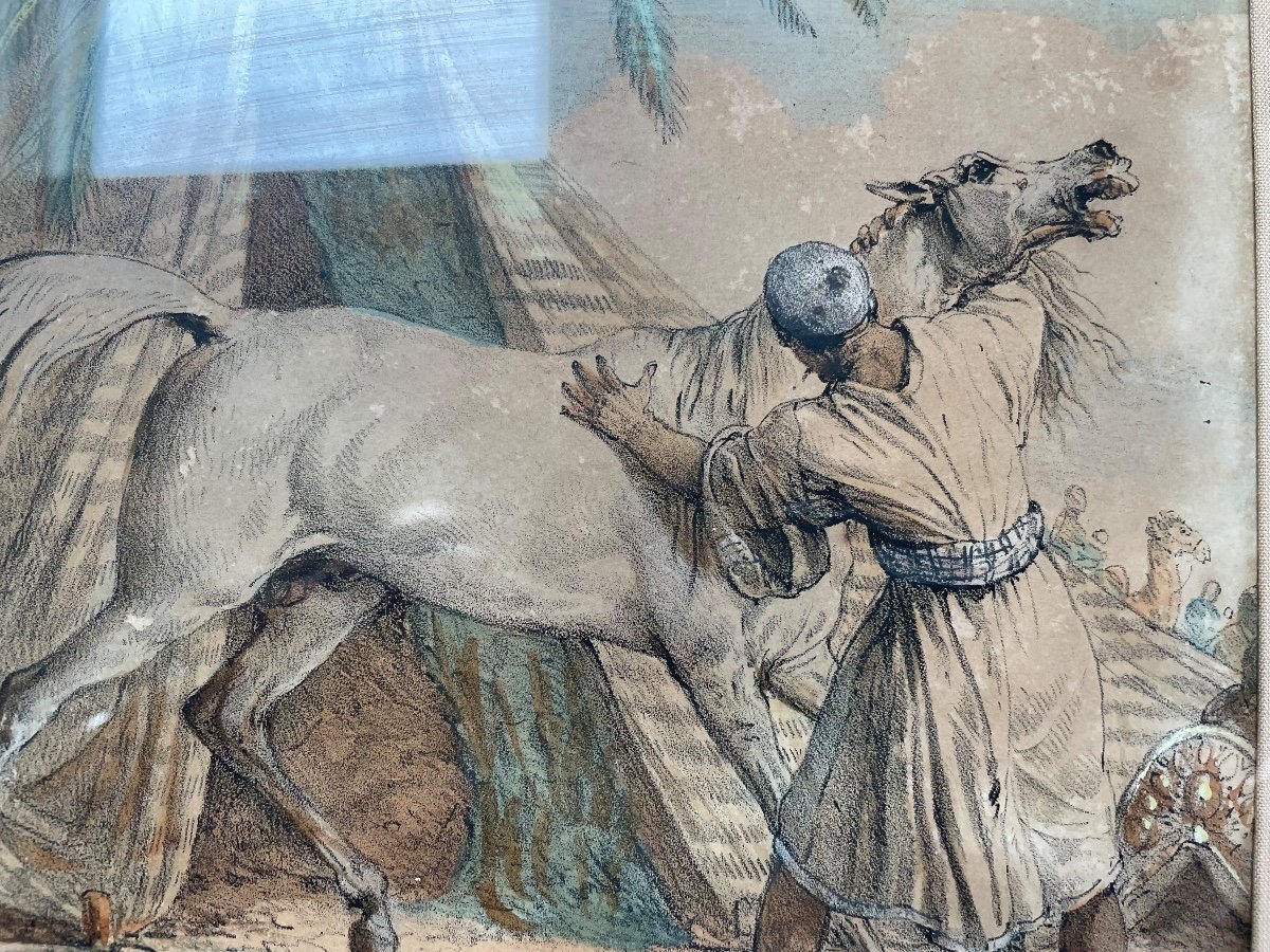 Le Cheval Arabe De Carle Vernet -photo-6