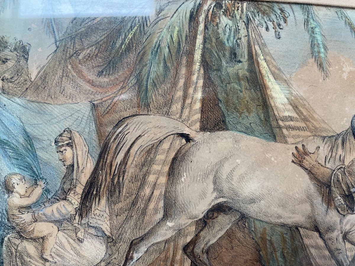 The Arabian Horse By Carle Vernet-photo-7