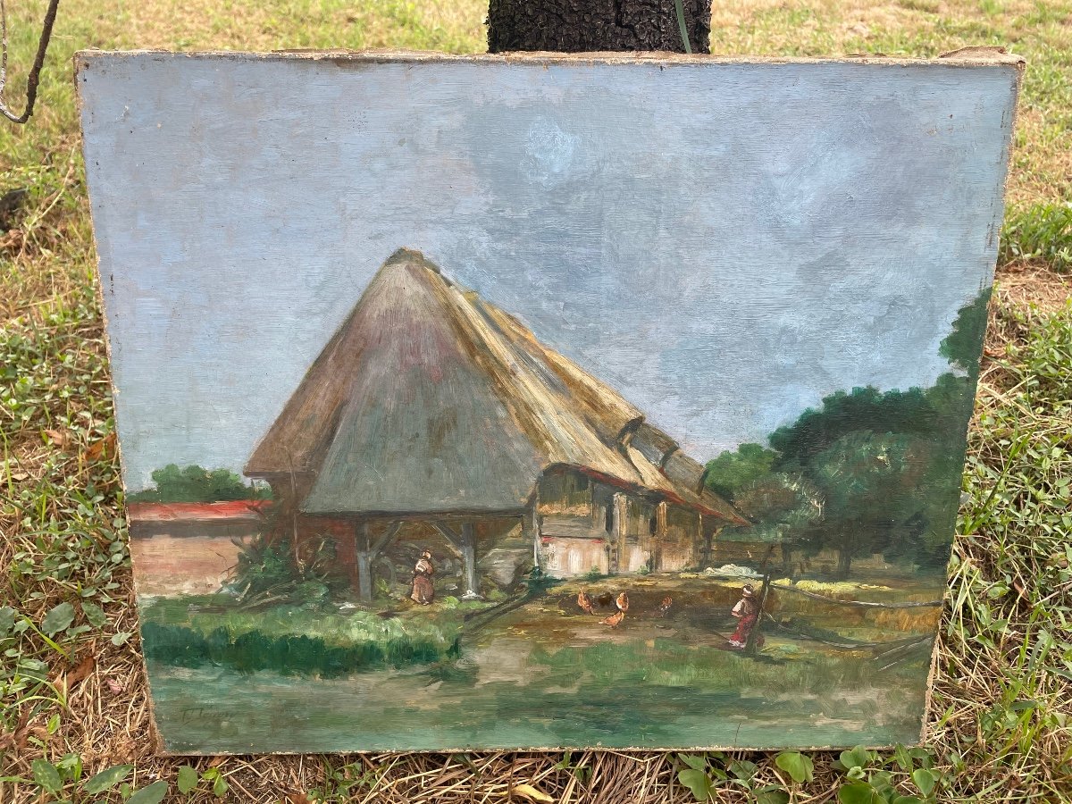 The Farm And Its Hens