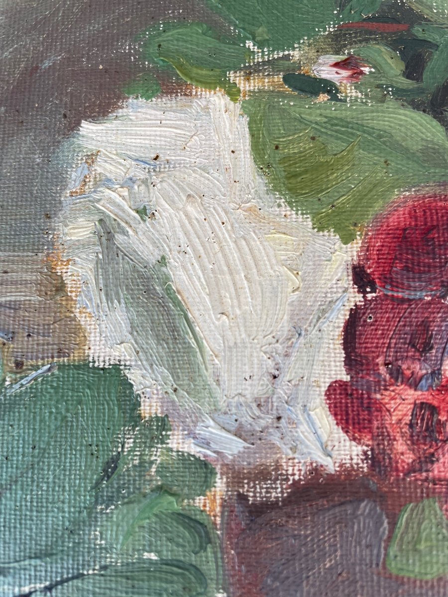 Roses-photo-2