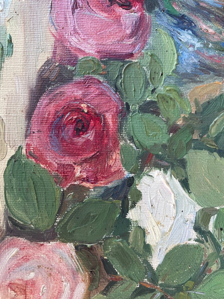 Roses-photo-8