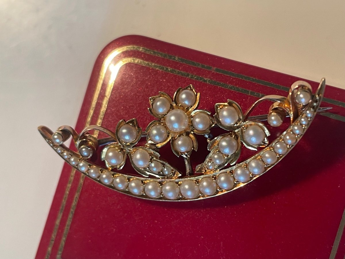 Gold And Pearl Brooch