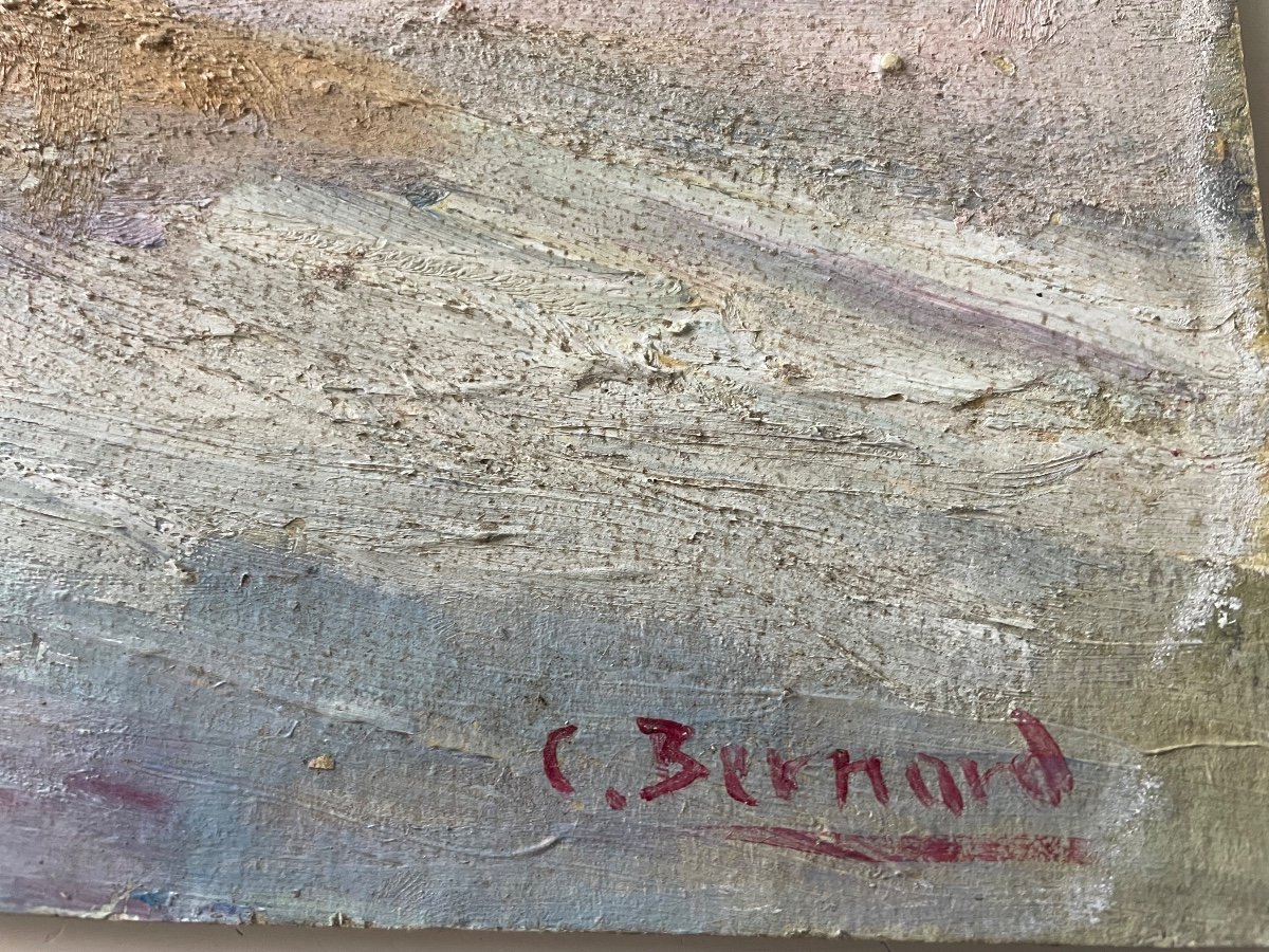 The Beach Of Claude Bernard -photo-4