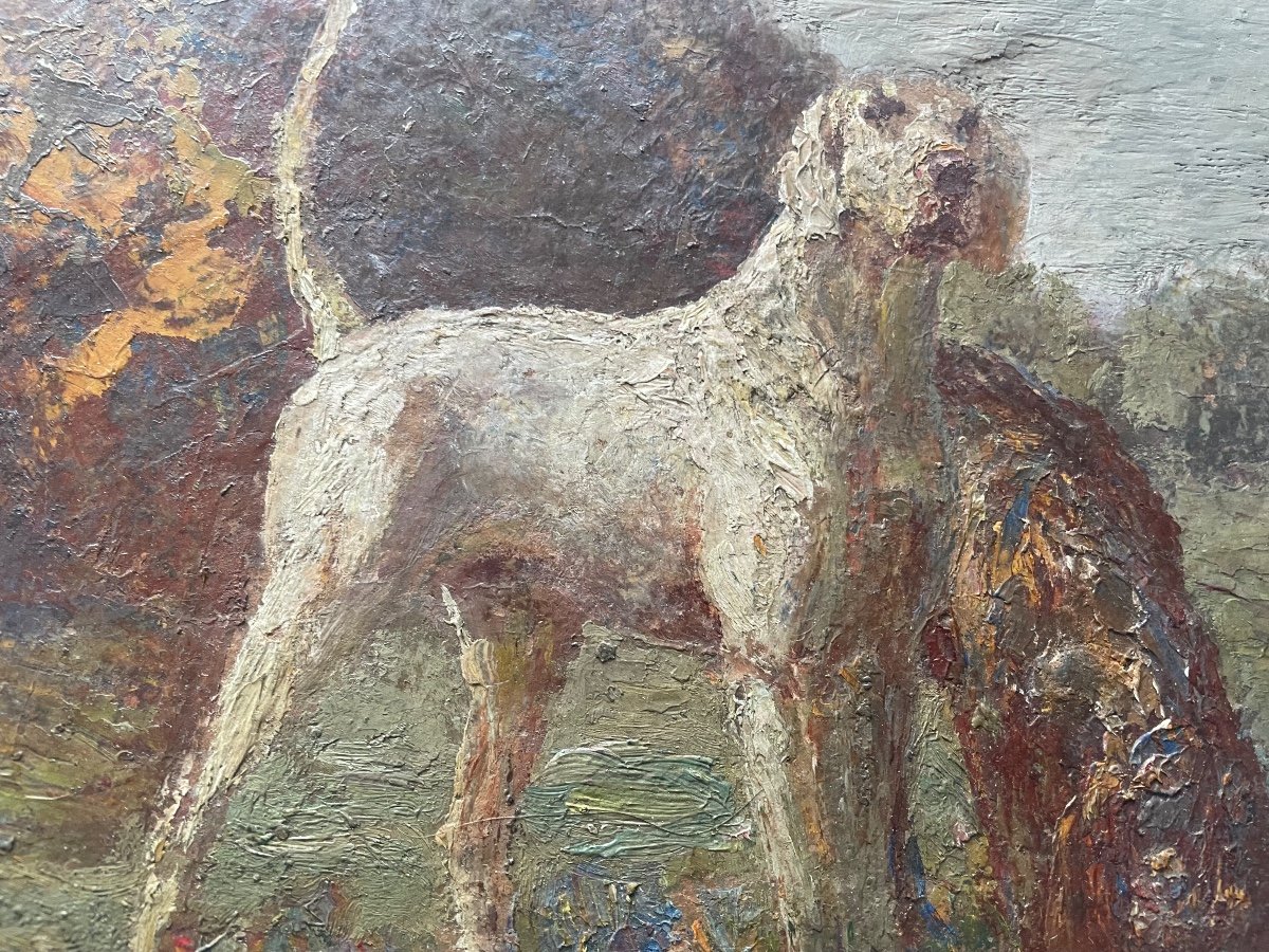 Chien De Chasse -photo-4